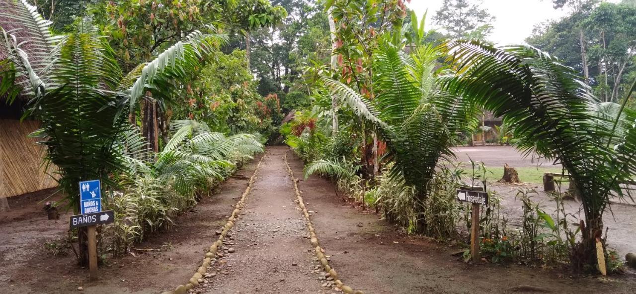 Shipati Lodge Misahualli Ngoại thất bức ảnh