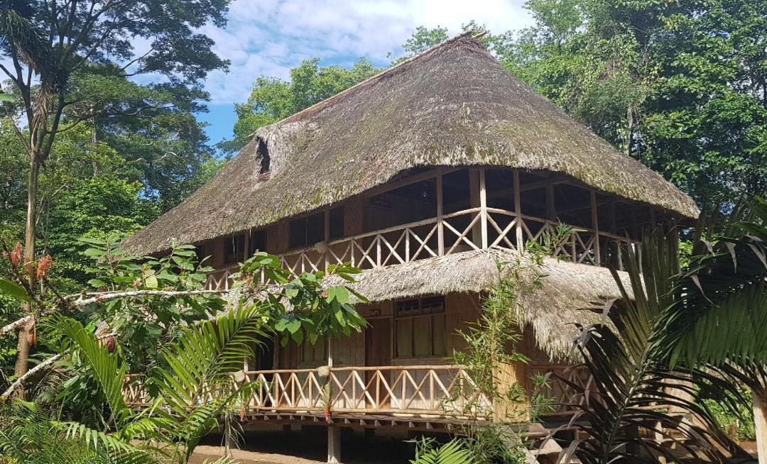 Shipati Lodge Misahualli Ngoại thất bức ảnh